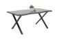 Preview: Esstisch GRETA T  200 x 100 cm - Grau mit Baumkante