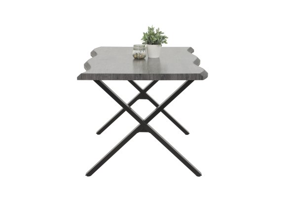 Esstisch GRETA T  200 x 100 cm - Grau mit Baumkante